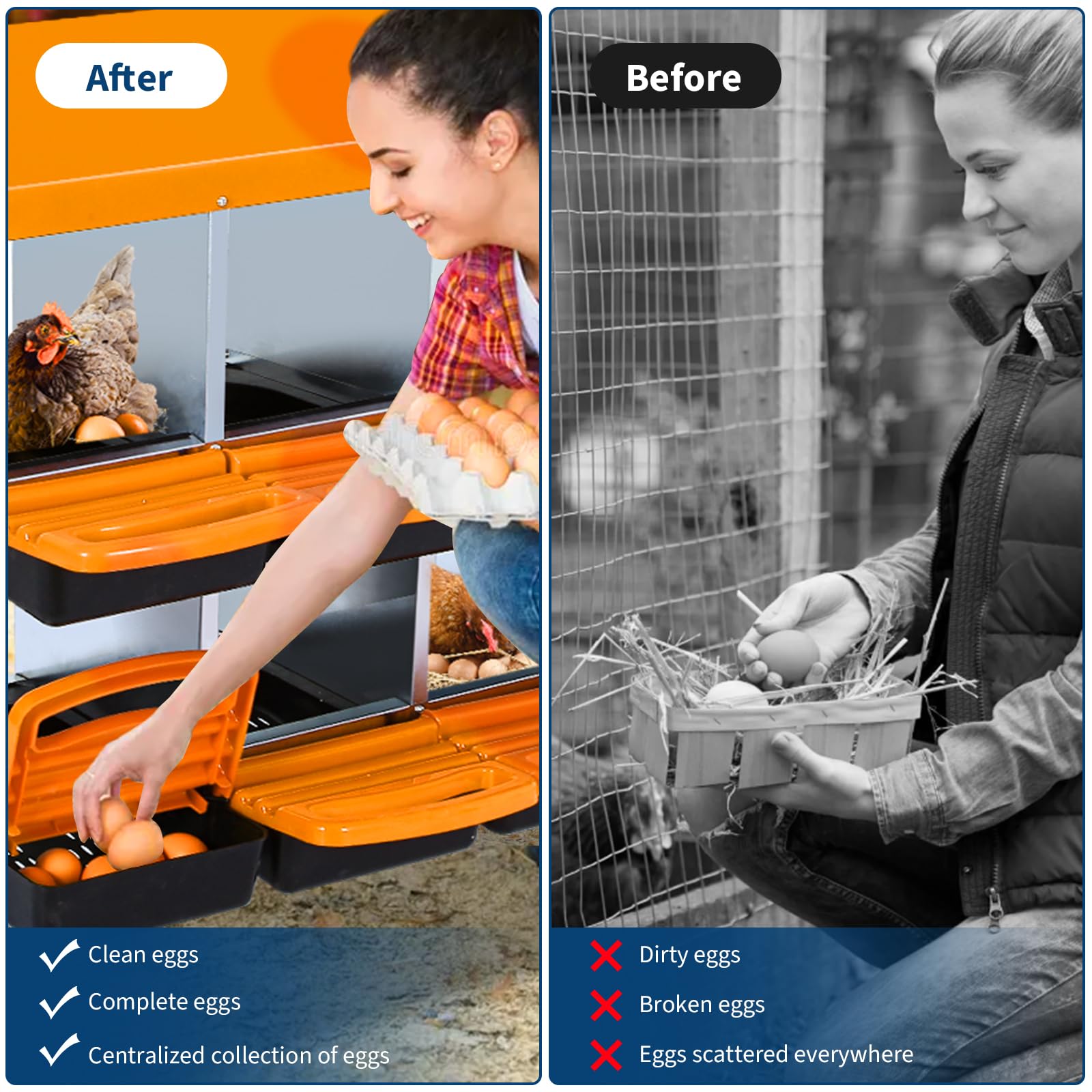 Legenester für Hühner, automatisches Rollauslauf-System, aus verzinktem Metall, langlebig, ideal für Hühnerstall, saubere Eier, Orange, acht Fächer.
