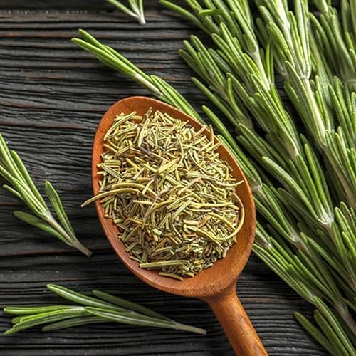 Miniatura 5 de Juego de 6 plantas de romero vivas, plantas de hierbas de romero vivas de 3 a 5 pulgadas de largo