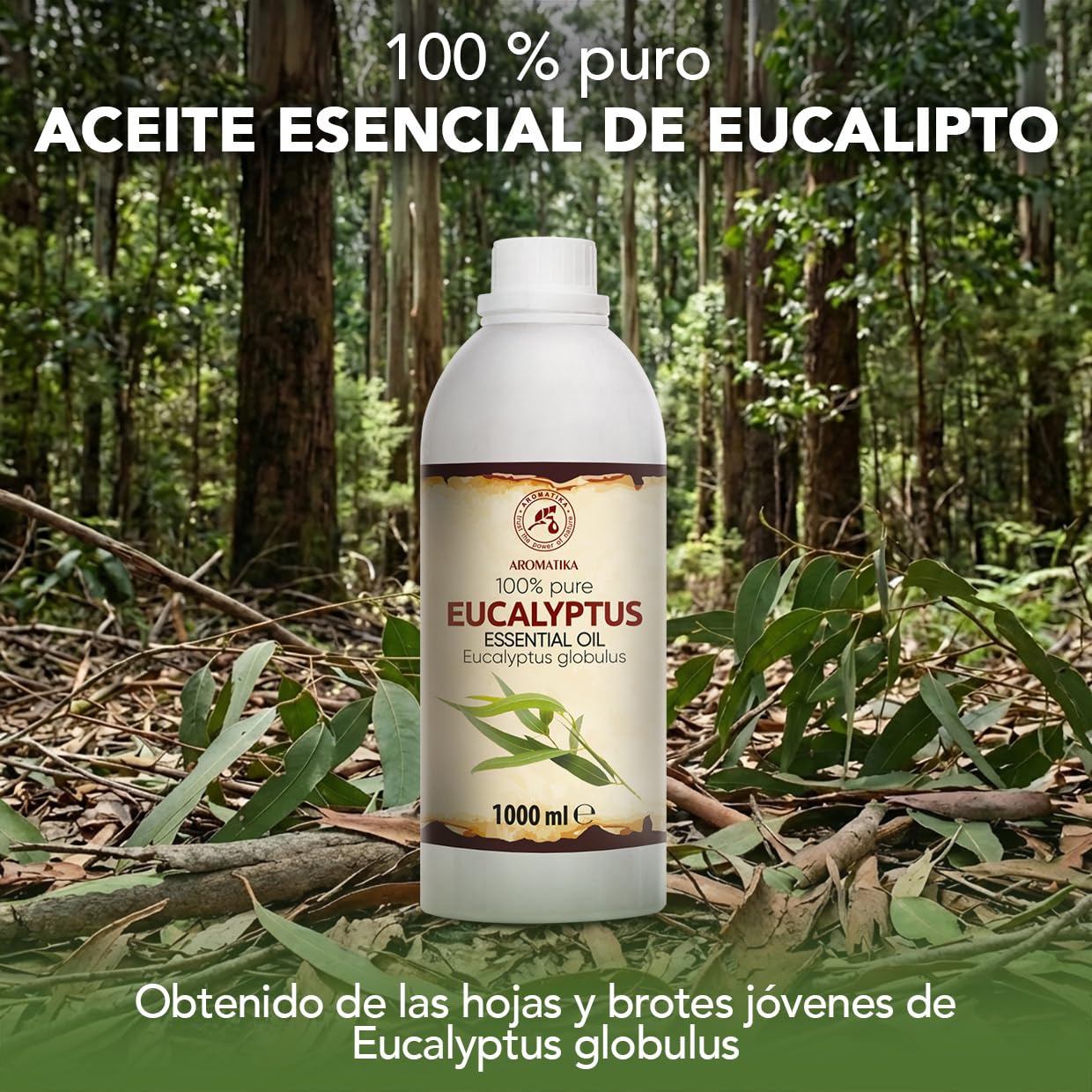 Aceite Esencial de Eucalipto 1000 ml - Eucalyptus Globulus - Natural y Puro - Aceites Esenciales para Difusores - Fragancias para el Hogar - Jabones y Velas - Sauna - Aroma a Eucalipto - Aromaterapia