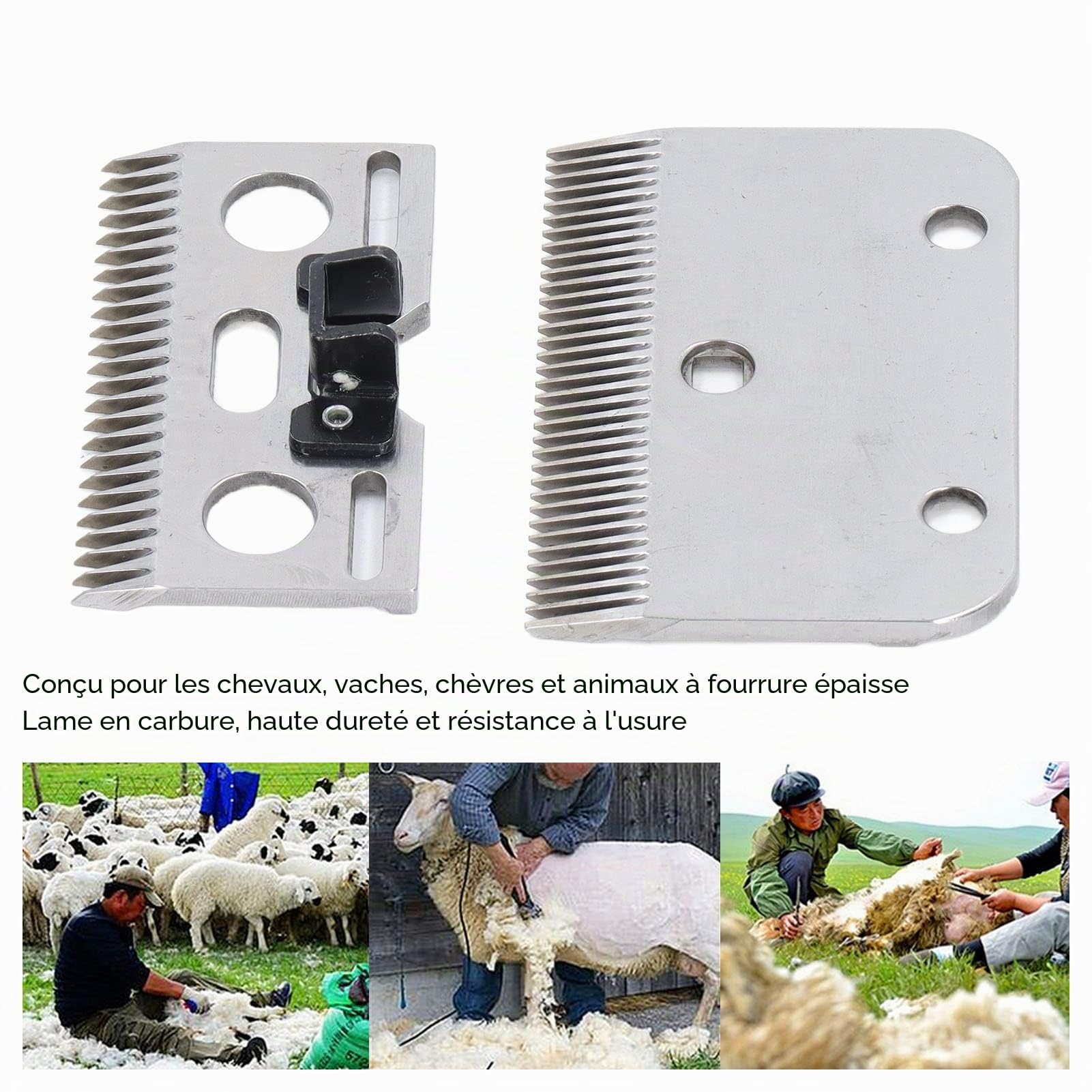 Fyearfly Tondeuse à Mouton 35 Dents - Lame de Cisaillement pour Toilettage de Chevaux, Bétail Domestique, Chèvres et Agneaux
