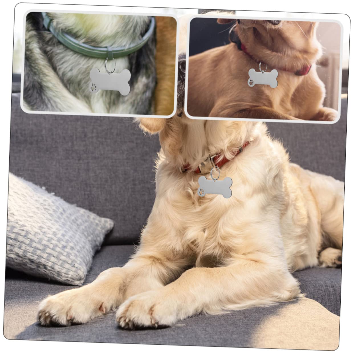Happyyami 30pièces Médaille Identification pour Chiens Inoxydable Plaque Gravée pour Collier De Chiens Et Chats Accessoire Personnalisé pour Animaux De Compagnie