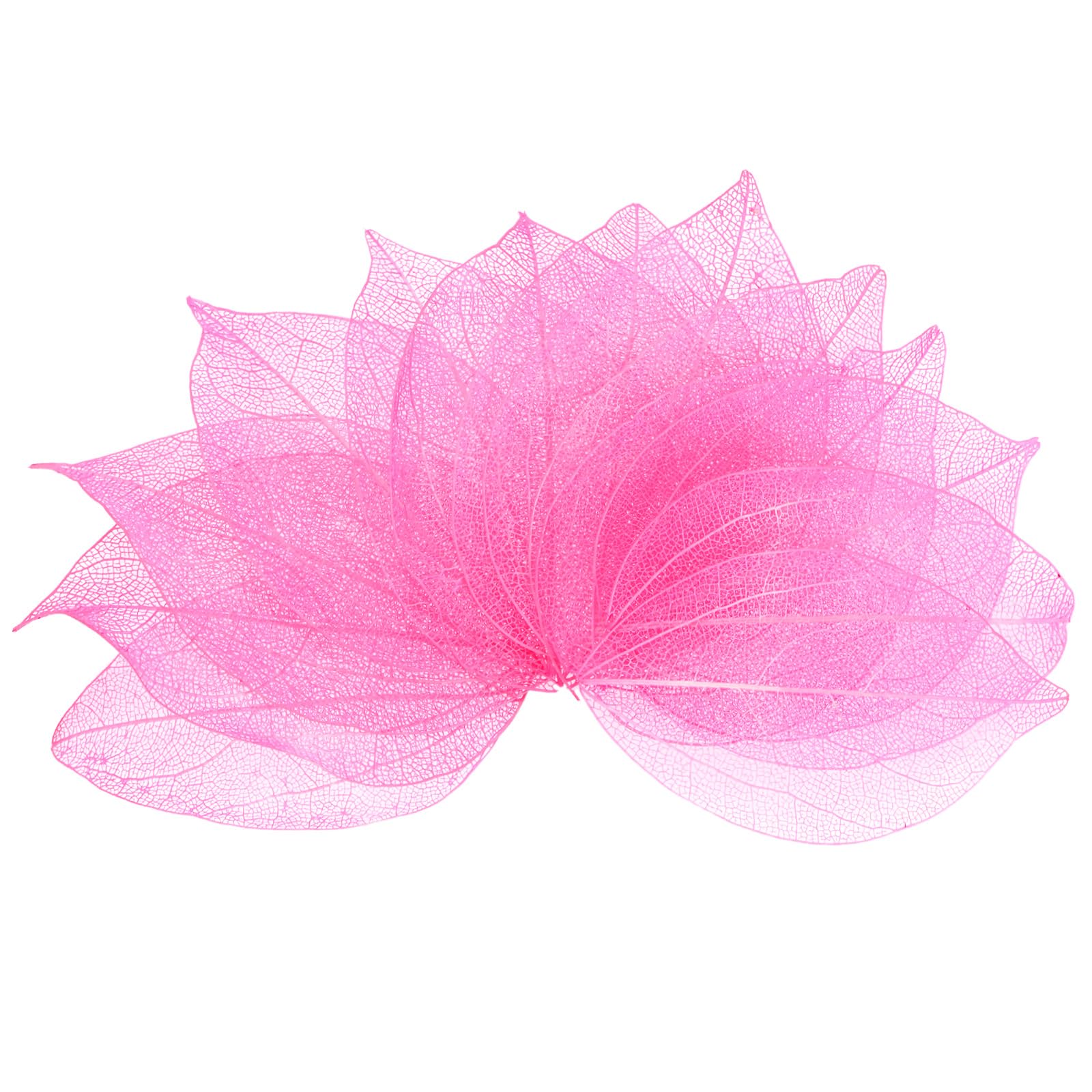 M METERXITY 200-Pack Skeleton Leaves