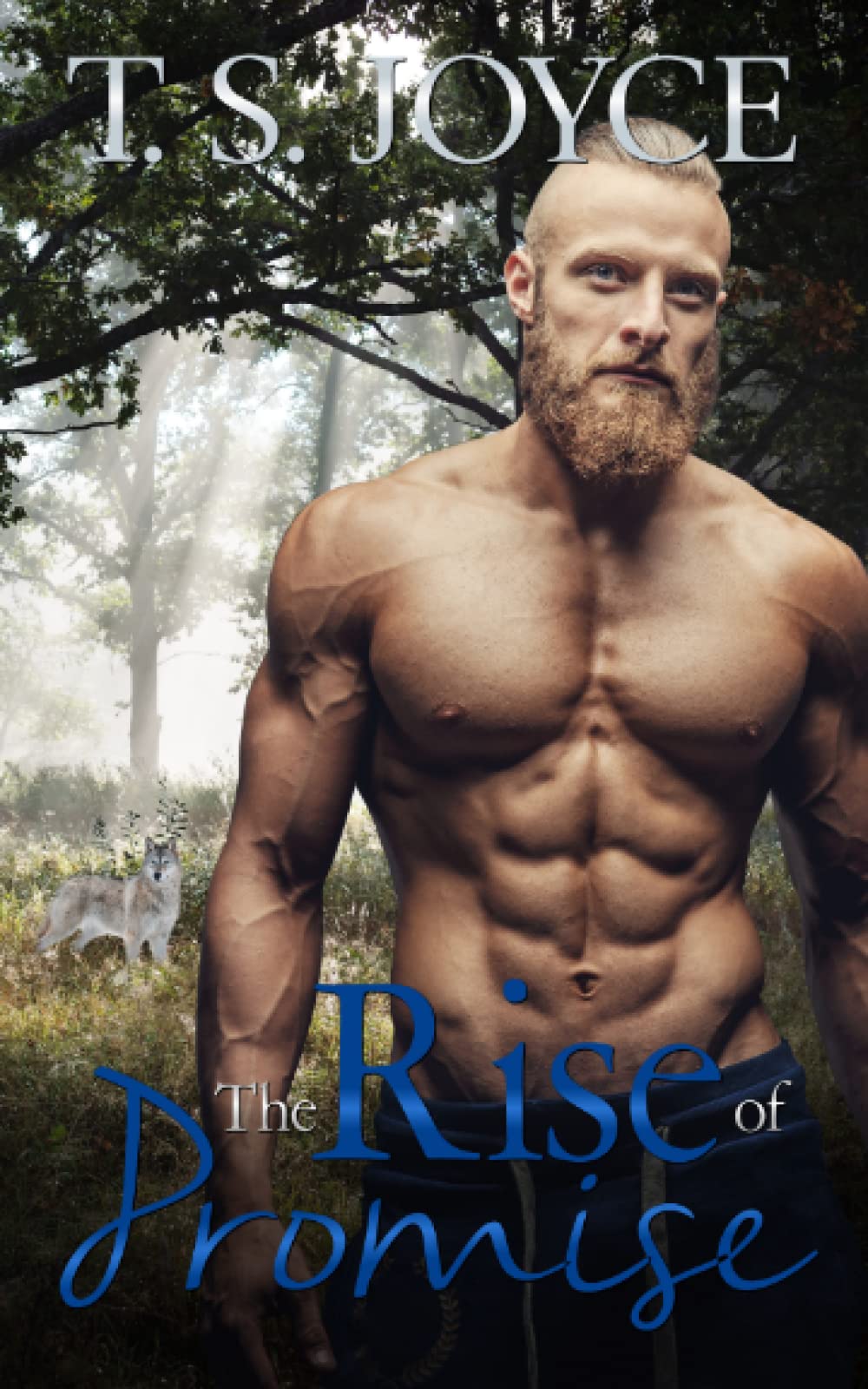 The Rise of Promise: 2 (The Wolves of Promise Falls)