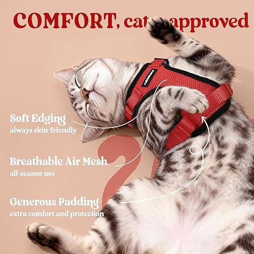 Miniatura 4 de rabbitgoo - Arnés y correa para caminar, a prueba de escape, suave y ajustable, para gatos, fácil control, transpirable, tiras reflectantes.
