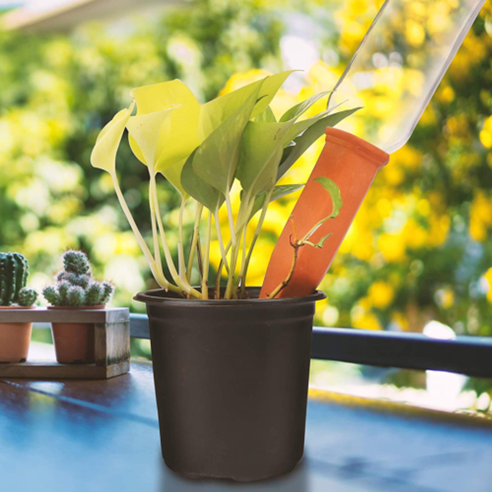 8 Stücke Automatisch Keramische Bewässerung Set,RoseFlower Tonkegel Selbstbewässernde Spike Wasserspender mit Free Gartenwerkzeuge für Indoor & Outdoor Home Office Garten Pflanzen