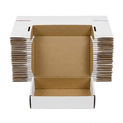 ZxeluPapr 20 Pack 12x9x4 Shipping Boxes, White Corrugated Cardboard Packaging Box for Small Business