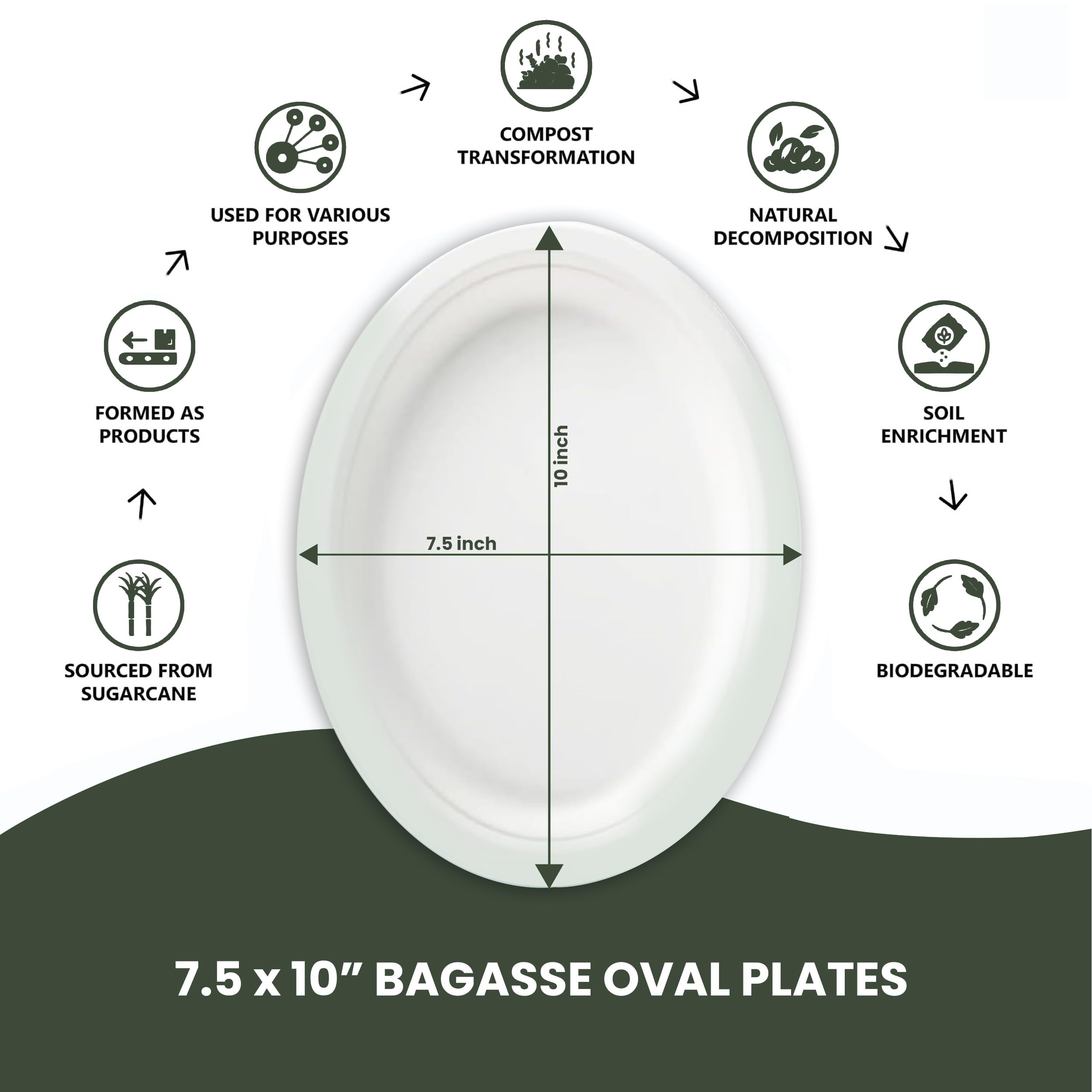 Platos ovalados desechables (125, pequeños), caña de azúcar ecológica, biodegradables, compostables, resistentes, sin BPA, aptos para microondas y congelador, perfectos para fiestas, bodas
