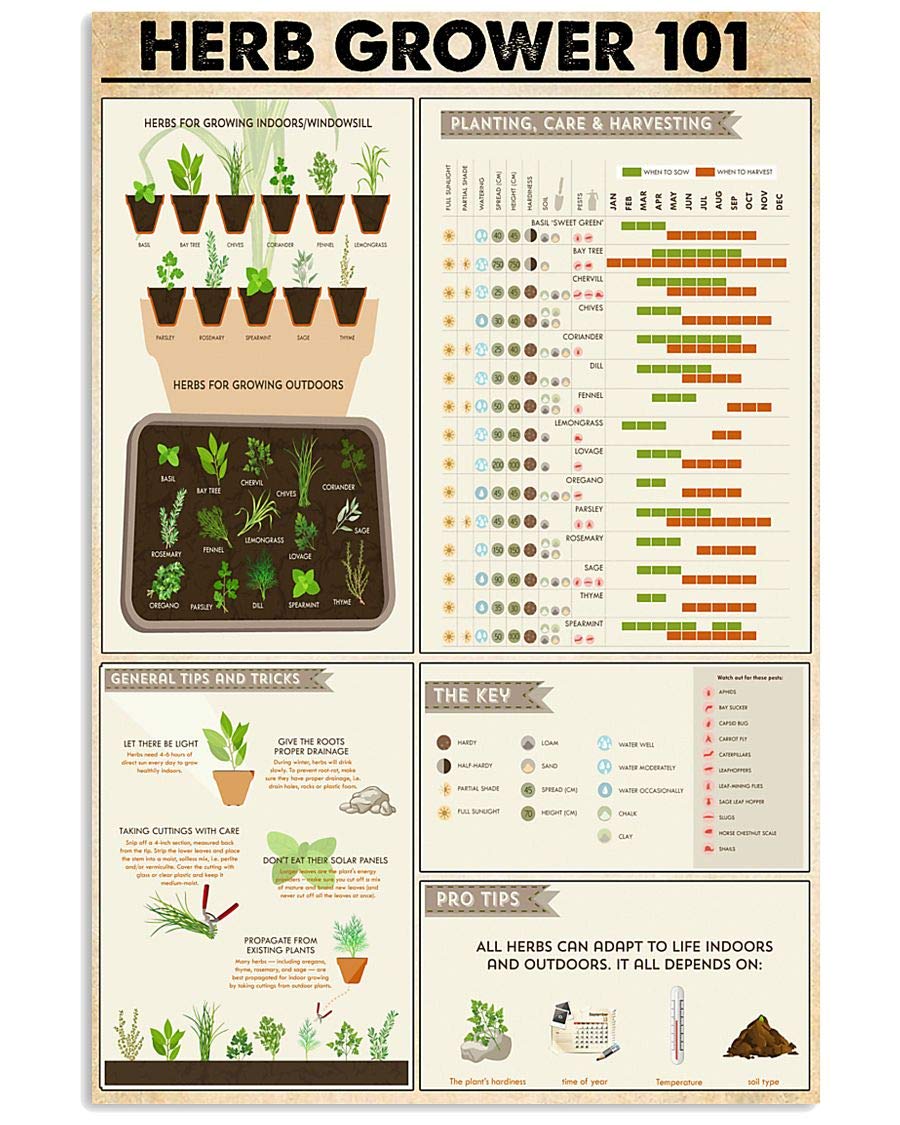 Fwjzdsp Herb Grower 101 Reading Poster Herb Growing Knowledge Metal Tin Signs Herb Farmer's Guide Plaques Farm Farmhouse Home Patio Wall Decor 8X12 Inches