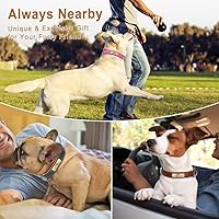 Vista 2 de Collares para perros personalizados, collar de cuero acolchado de neopreno suave para perro, collar para perro personalizado con placa de nombre