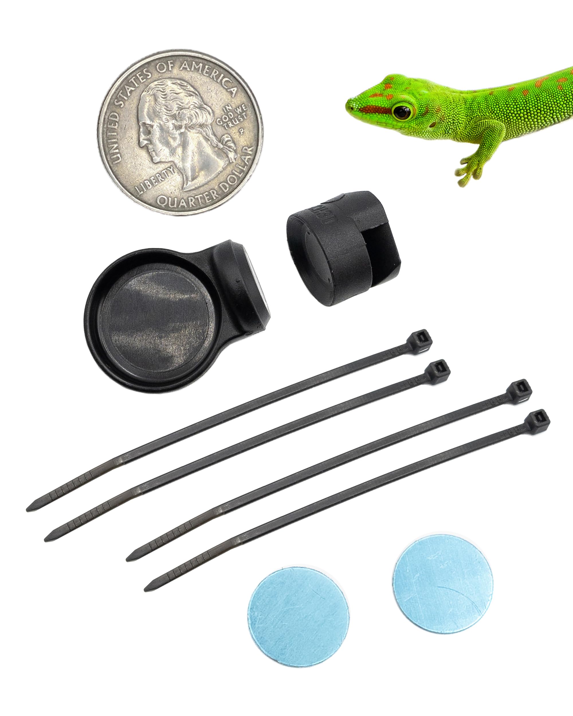 Pangea Microdish Kit for Gecko Feeding, Tiny Water Dish for Micro Geckos, Anoles, and Other Small Reptiles, Zip Tie Attachment Pet Food Bowl 1.5in x