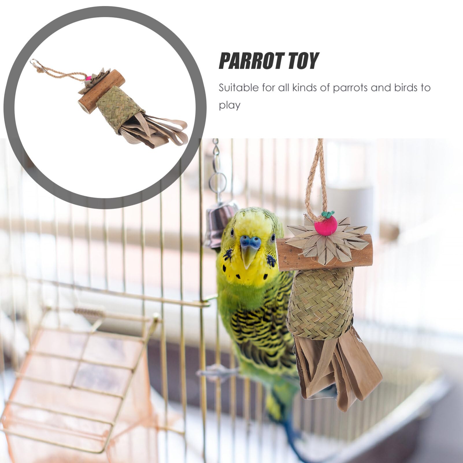 Amazon.co.jp: ABOOFAN 鳥 おもちゃ、 鳥 採餌 壁 おもちゃ 海草