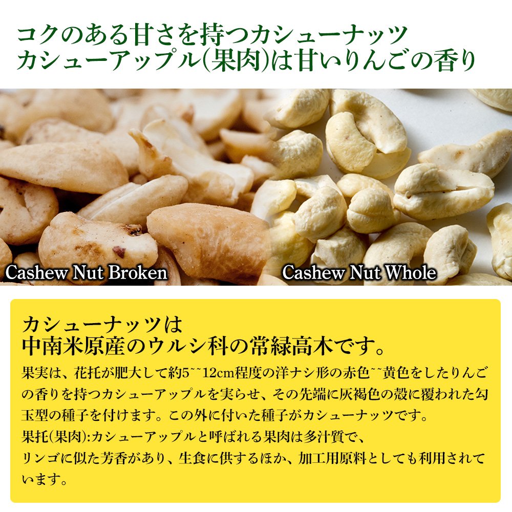 割れ生カシューナッツ 5kg 【公式通販】