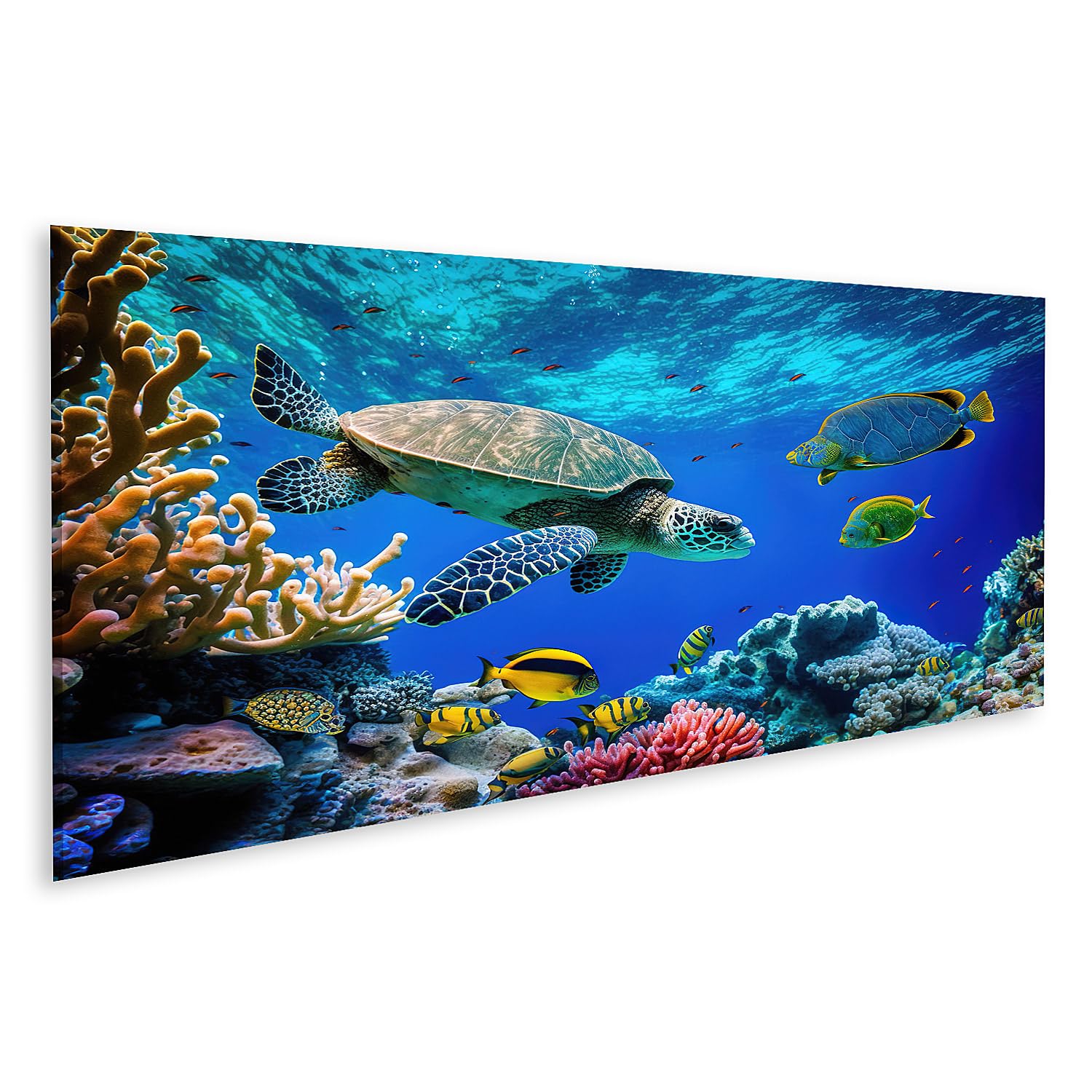 islandburner Bild auf Leinwand Korallenriff Wilde Meeresschildkröte Fische tropisches Ozeanleben exotisches Tier unter Wasser Bilder Wandbilder Poster
