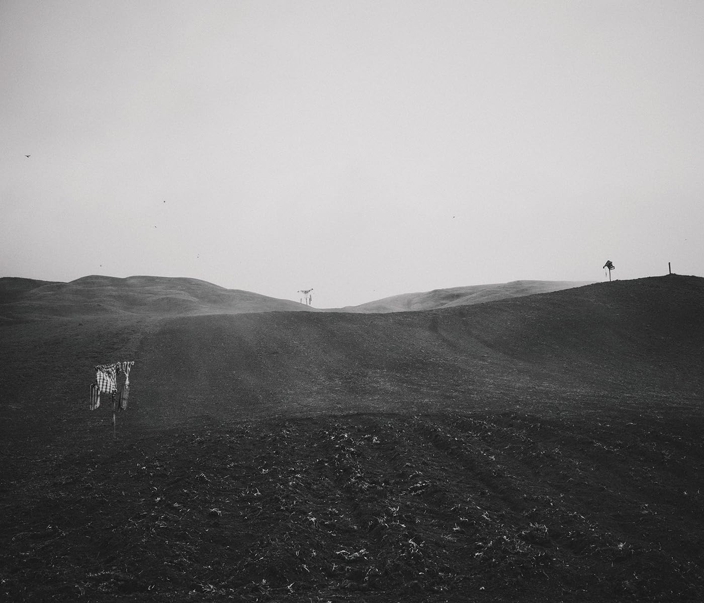 Whitening Heights: Sandro Livio Straube: Berge bleichen