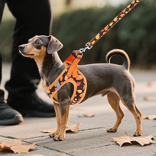 Miniatura 43 de KOOLTAIL Juego de arnés y correa para perros pequeños y medianos, arnés de malla suave sin tirones para perro, cómodo chaleco acolchado