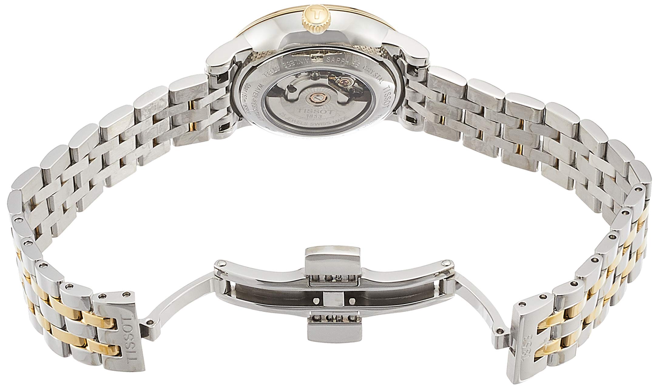 Tissot Automatic Watch T1222072203100 Desertcart Seychelles