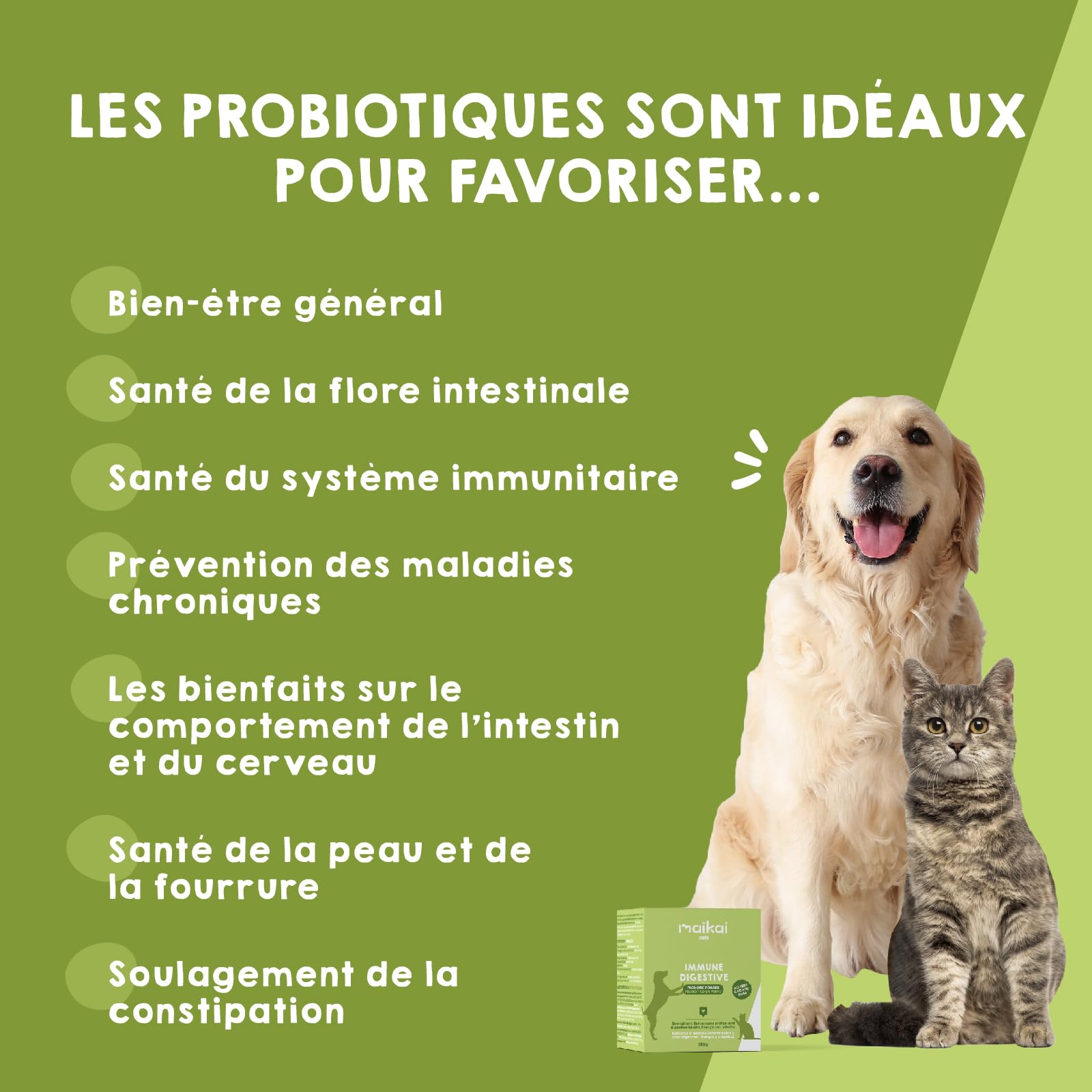 Probiotique Naturel pour Chien et Chat – Poudre 150g – Complément Alimentaire pour Digestion + Immunité et Santé Intestinale – Anti-Diarrhée – Soutien de la Flore Digestive – Format Économique