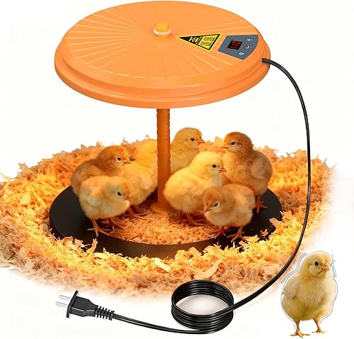 Lewisi 35W Chick Heater Plate with Temperature Control, Height Adjustable Chicke