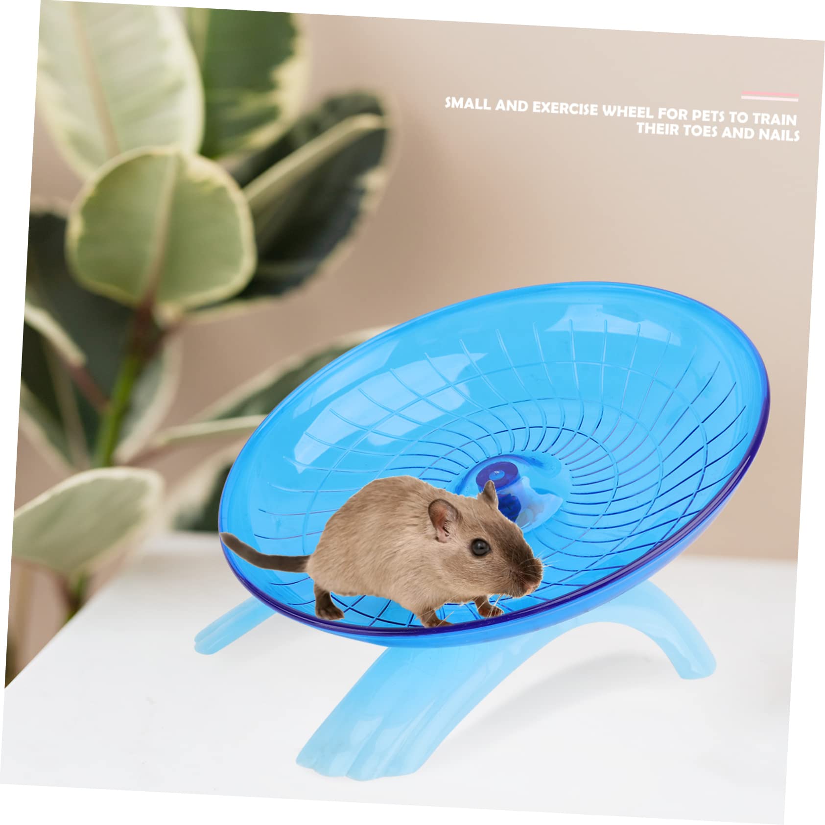 BESPORTBLE Hamster Exercise Wheel Small Pet Run Disc Non-Run Design for Guinea Pigs Pet Rats Training Nails