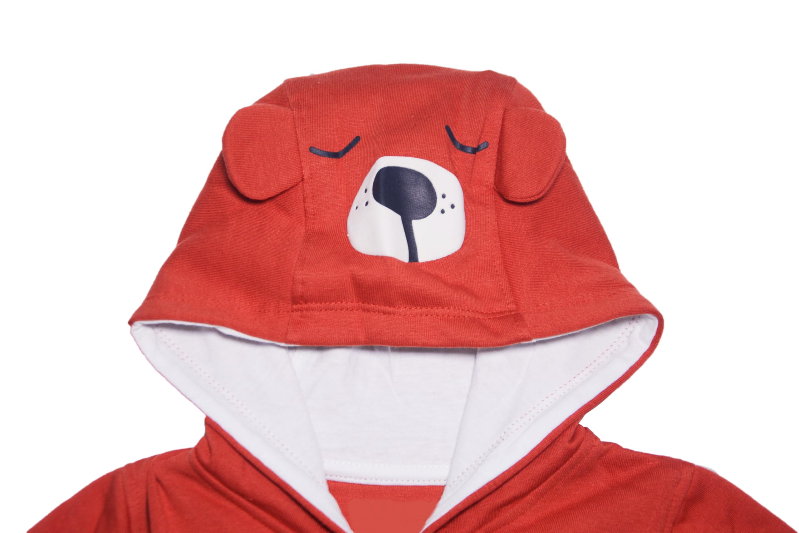 Amplify Baby Girls Full Sleeve Hooded Sweatshirt/Hoodies - Maroon (in, Age, 0 Months, 6 Months, Maroon) - Image 3 thumbnail