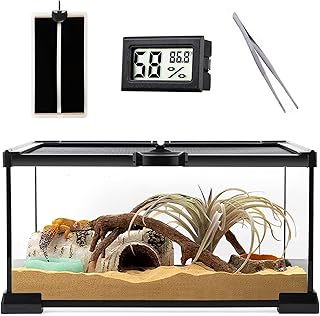 Reptile Glass Terrarium - Amphibians Habitat Cages 12" x 8" x 6.3" Starter Kits, Top Sliding Door Screen Ventilation Mini ...