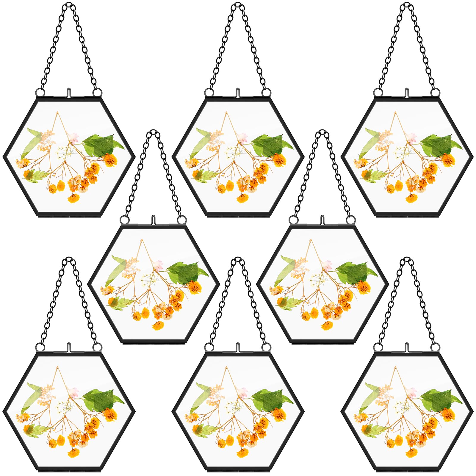 8 Pcs Pressed Flower Frames 4 x 3 Inch Hanging Glass Floating Photo Frames Glass for Pressed Flowers Double Picture for Artwork Display Photo Modern Home Wall Decor(Black)