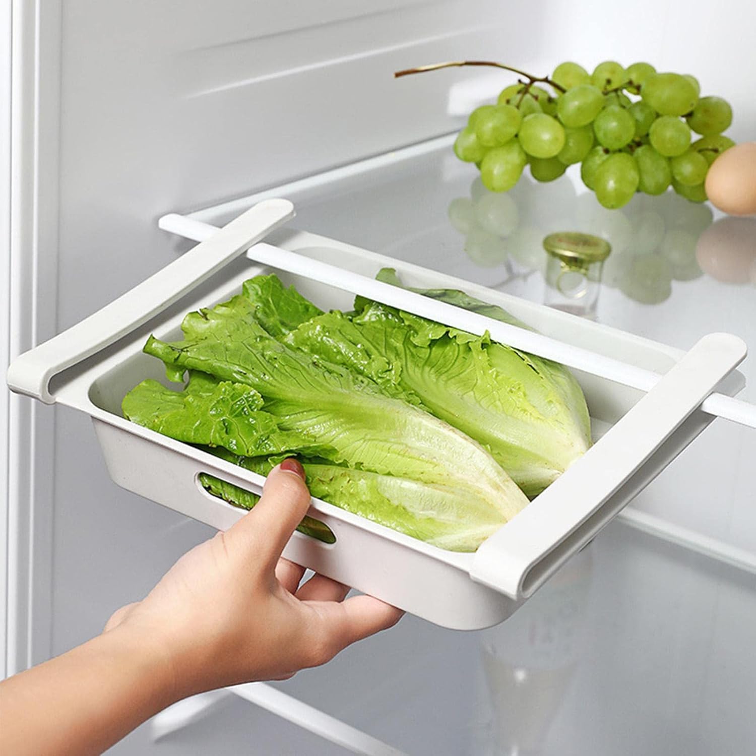 Egg Holder for Refrigerator,Egg Tray for Refrigerator,Egg Storage Container for Refrigerator, Clear Pull Out Egg Drawer Fridge Organizers and Storage Hold 12 Eggs,Refrigerator Organizer Bins