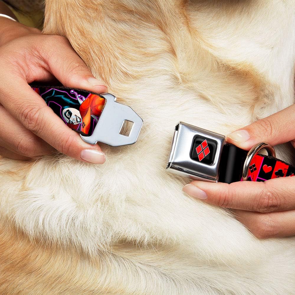 Buckle-Down Seatbelt Buckle Dog Collar - HARLEY QUINN Bomb Poses/Suits Black/Purple/Red - 1" Wide - Fits 15-26" Neck - Large