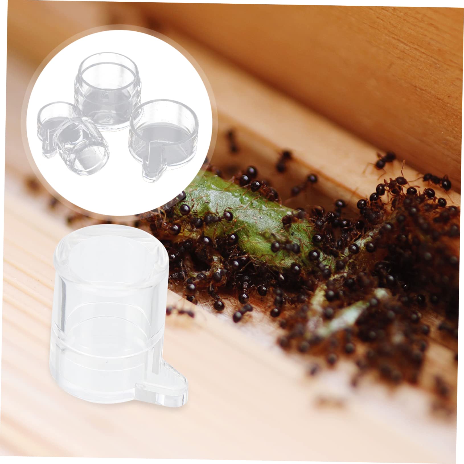 2pièces Gamelles à Eau pour Fourmis Acrylique Mangeoires pour Nid De Fourmis Abreuvoirs Transparents avec Port d Alimentation Séparé