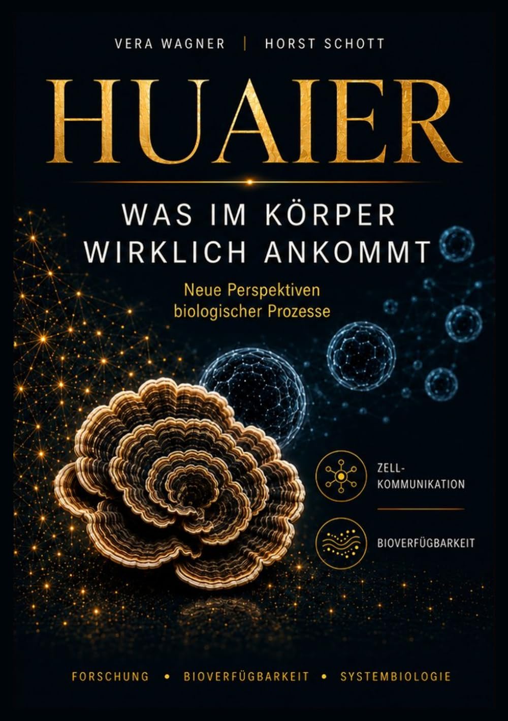 HUAIER: WAS IM KÖRPER WIRKLICH ANKOMMT