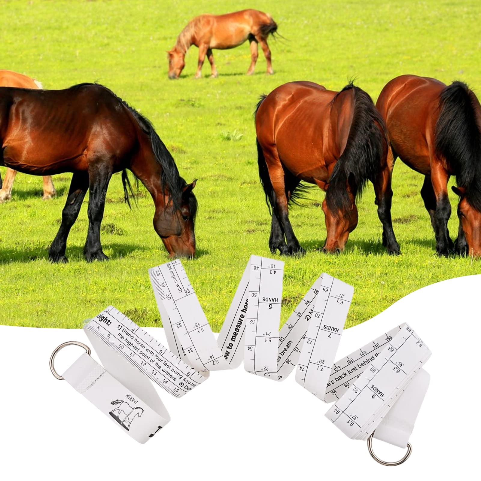 Ruban à Mesurer Souple Double échelle Pour Ferme, 2,5 M Ruban à Mesurer Ferme Haute Précision Professionnel Ruban à Mesurer Souple Pour Mesure Du Poids Du Buste De Cheval