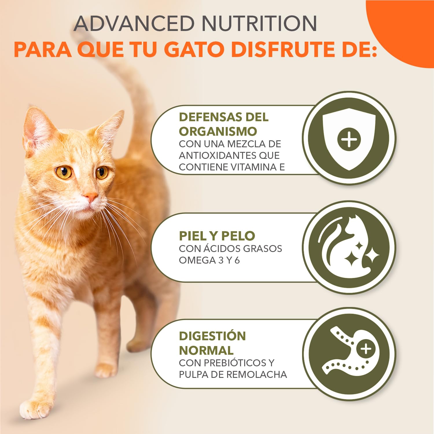 IAMS Alimento Sin Cereales para Gatos Adultos, Pollo Fresco, 7,5kg