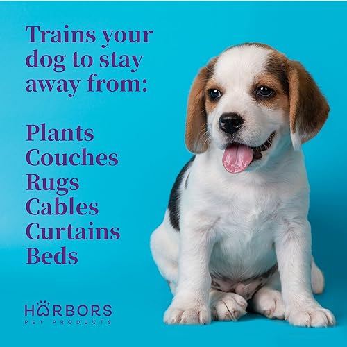 Miniatura 6 de Harbors Stay Away  Ayuda de entrenamiento para cachorros y perros spray de entrenamiento para perros repelente de perros para muebles repelente de