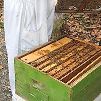 Vista 4 de Alimentador de colmena de abeja de 6L, alimentadores de abejas para colmenas,Alimentadores de marco para colmenas de abejas,Alimentador de alimentos