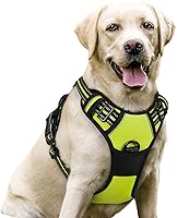 Vista 109 de rabbitgoo Arnés para perro, arnés sin tirones para mascotas con 2 clips para correa, chaleco acolchado suave ajustable para perro, chaleco Oxford