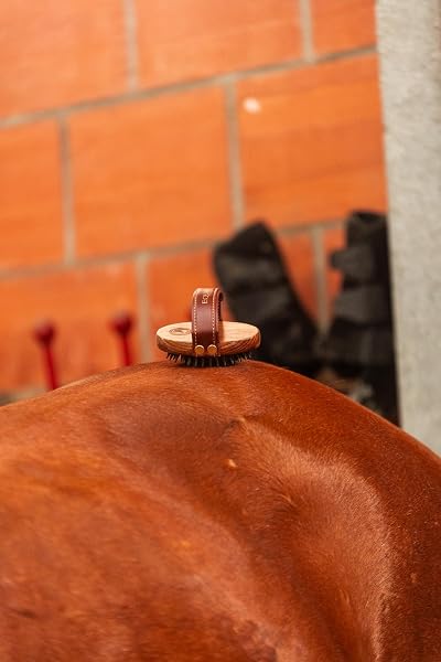 Equimour Gummi Striegel Pferd & Hund – Holz Fellstriegel mit flexiblen Gummiborsten & Leder Handschlaufe – Fellpflege, Massage & Schmutzentfernung – Striegel für Kurzhaar Pferde & Hunde - 5