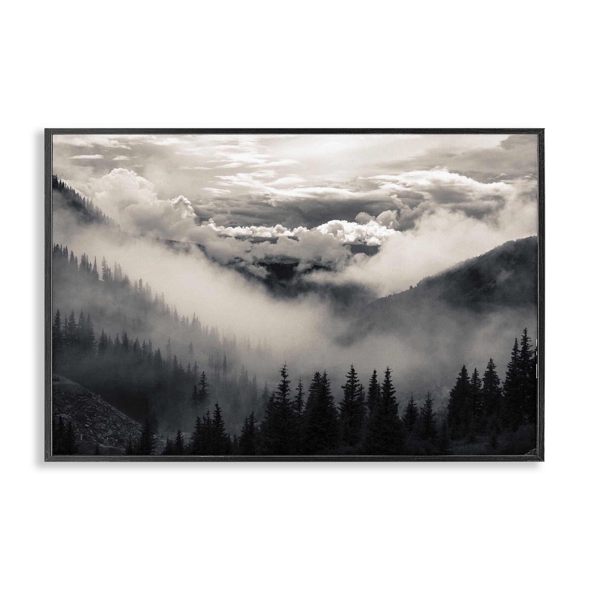 Art giclée encadré noir Stupell Industries par Decent Exposures, tableau déco de 40,6 x 61 cm