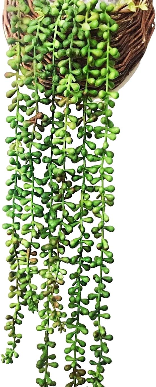 Ahvoler Artificial Succulent Plants, String of Pearls, 28" Hanging Basketplant, Lover Tears Plants (Green 2 pcs)