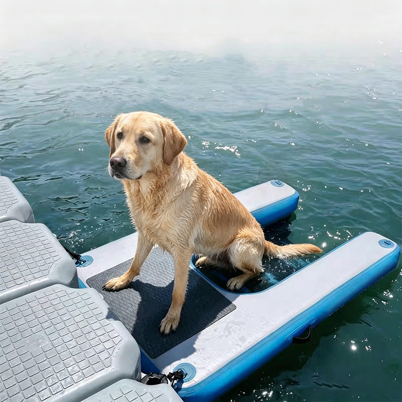 Floating Dog Water Ramp for Lake Dock, Inflatable Non-Slip Dog Boat Ramps