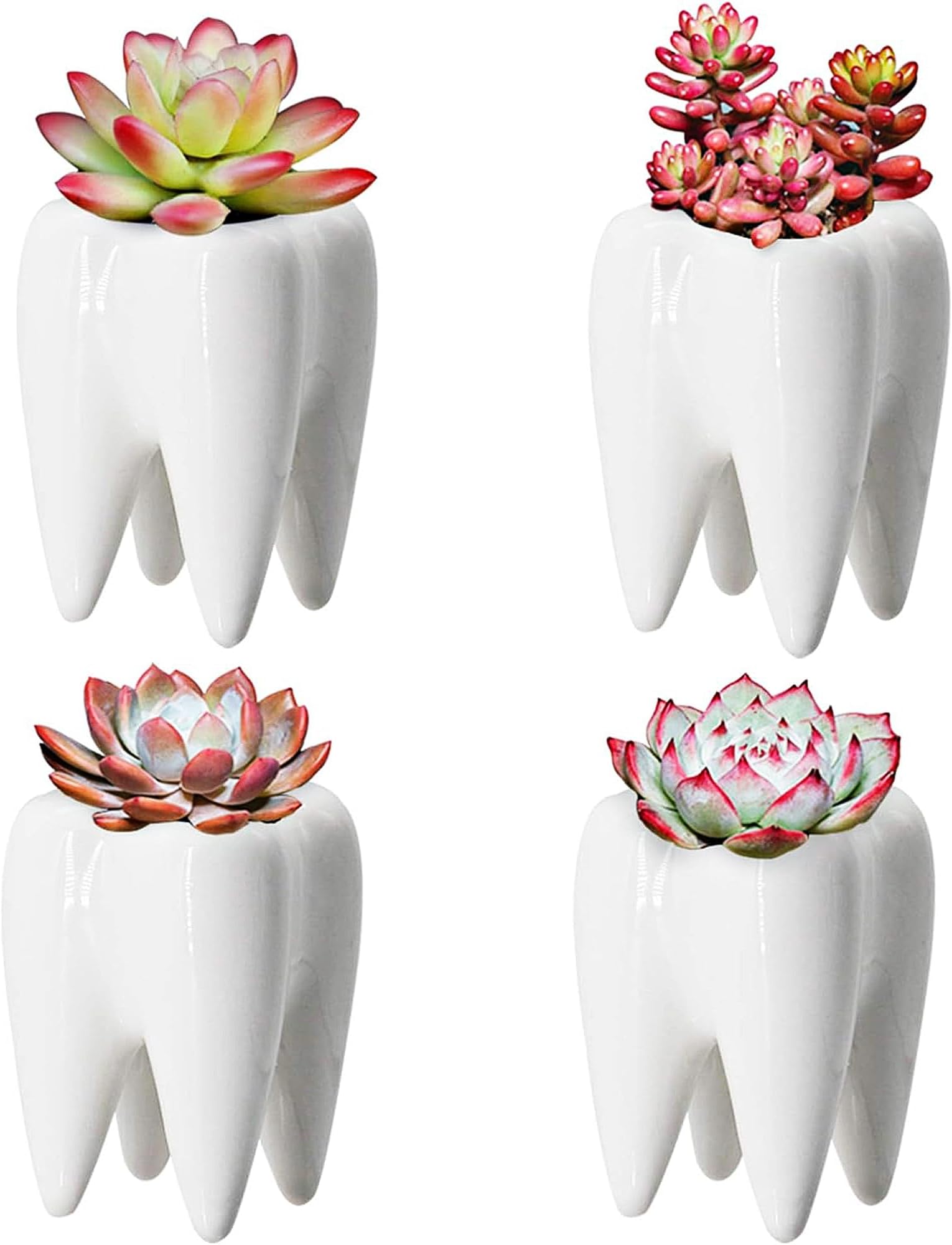 YOFIT Dental Assistant Appreciation Gifts – 4 Pack Ceramic Tooth Planter, Dental Hygienist Gifts Office Decor, Dentist Gift for Coworkers Women Student, White Succulent Flower Pot, 3.7"