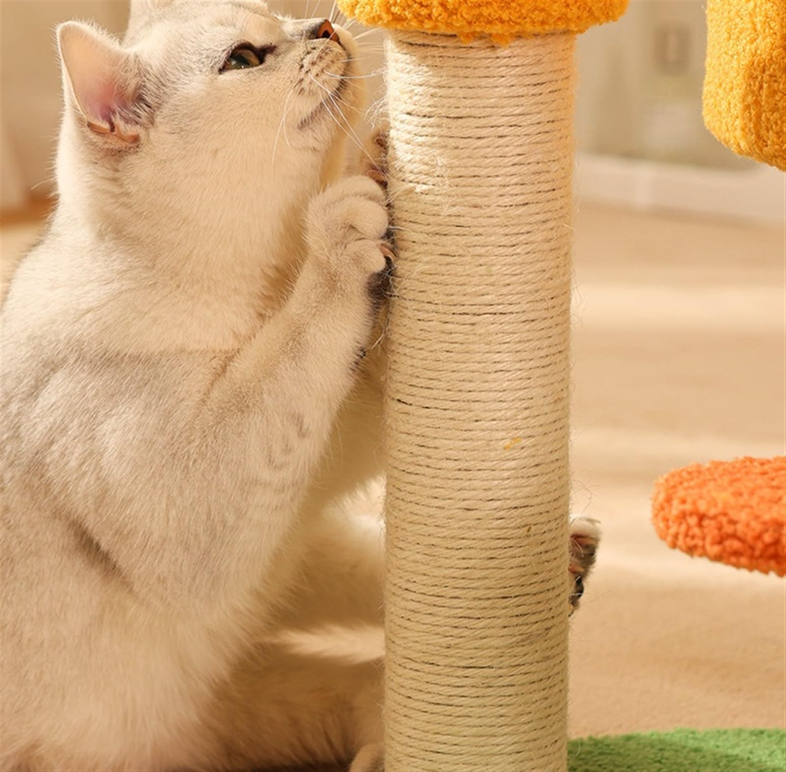 Albero per Gatti da Interno Esterno Tiragraffi per Gatti A Forma di Zucca Torre per Gatti Carina con Tiragraffi in Sisal Completamente Avvolto per Gatti Che Vivono in Casa