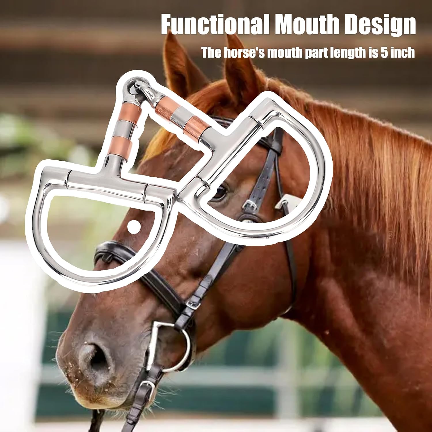 D Ring Snaffle Bit Stainless Steel Copper Roller Mouth Horse Training | D-Shaped for Control, Flexible Copper Roller, Rust-Resistant Steel, Smooth Easy Clean, Novice Horse Friendly