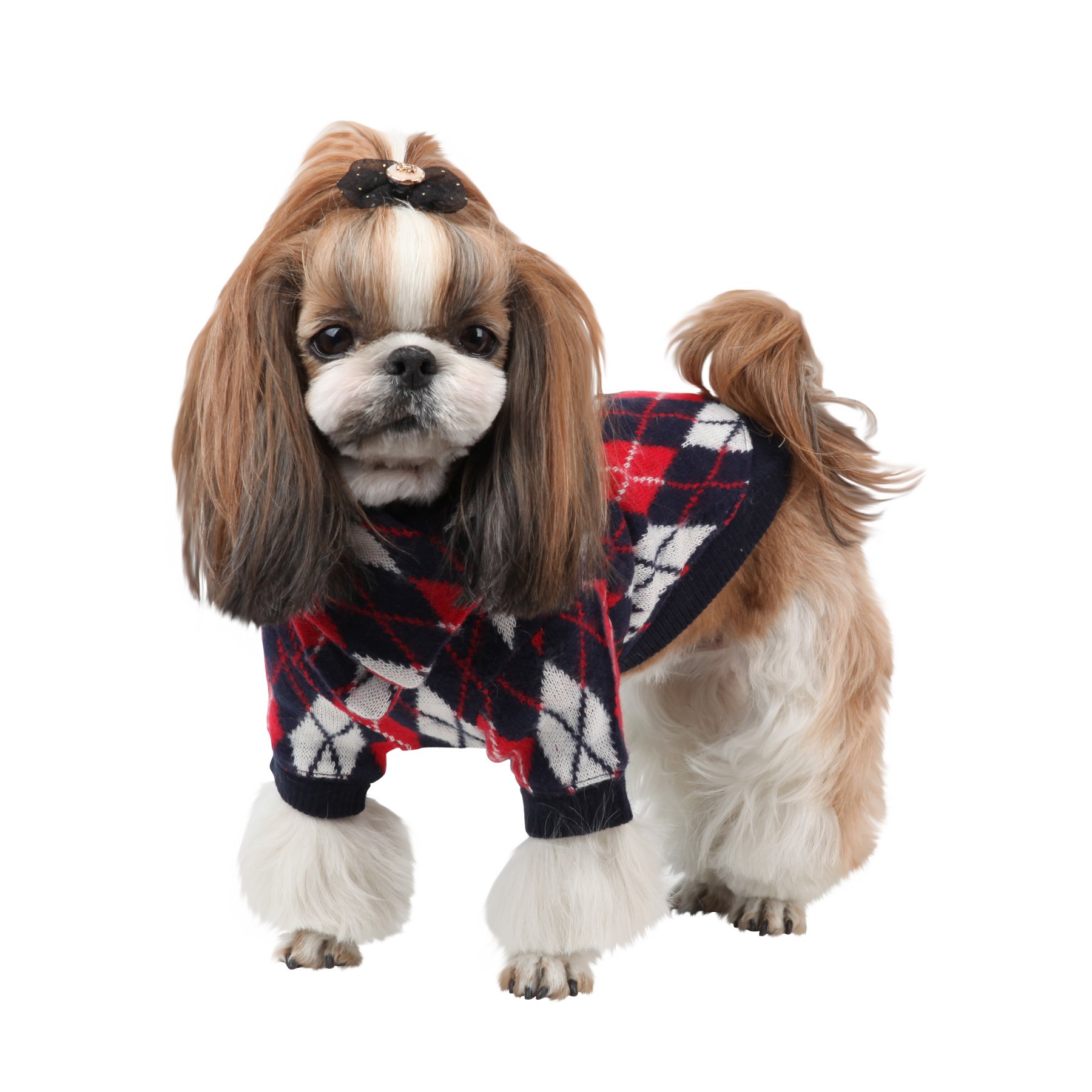 Puppia Lineage Winter Pull et écharpe Ensemble pour Animaux domestiques, Petite, Bleu Marine