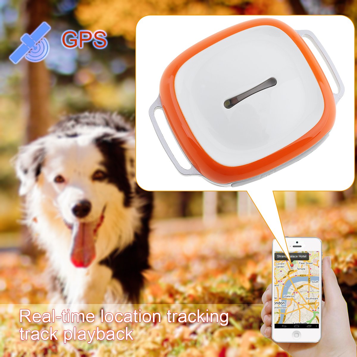 Mini rastreador GPS impermeable Localizador con WIFI GSM GPRS Tracker para mascotas, gatos y perros
