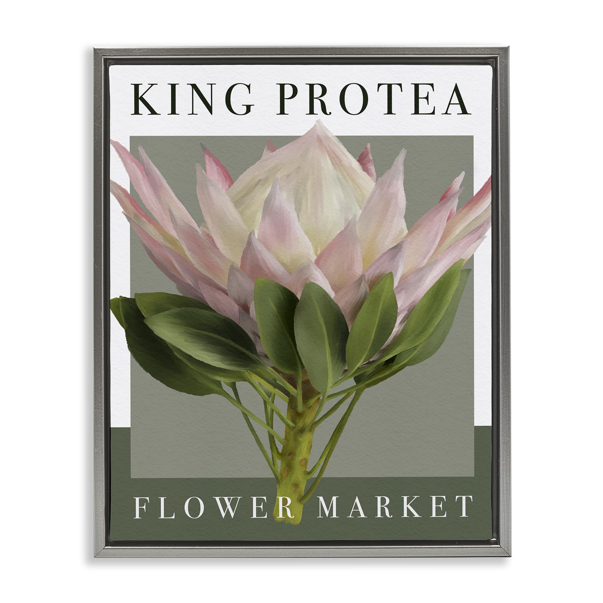 Stupell Industries Luster Gray (Matte) King Protea Flower Market, 16 X 20 Inch Canvas In Floater Frame