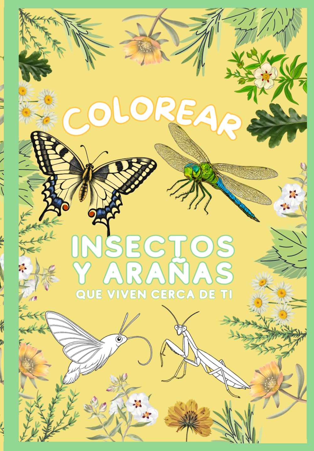 COLOREAR INSECTOS Y ARAÑAS: MARIPOSAS, ESCARABAJOS, INSECTOS SORPRENDENTES Y ARAÑAS