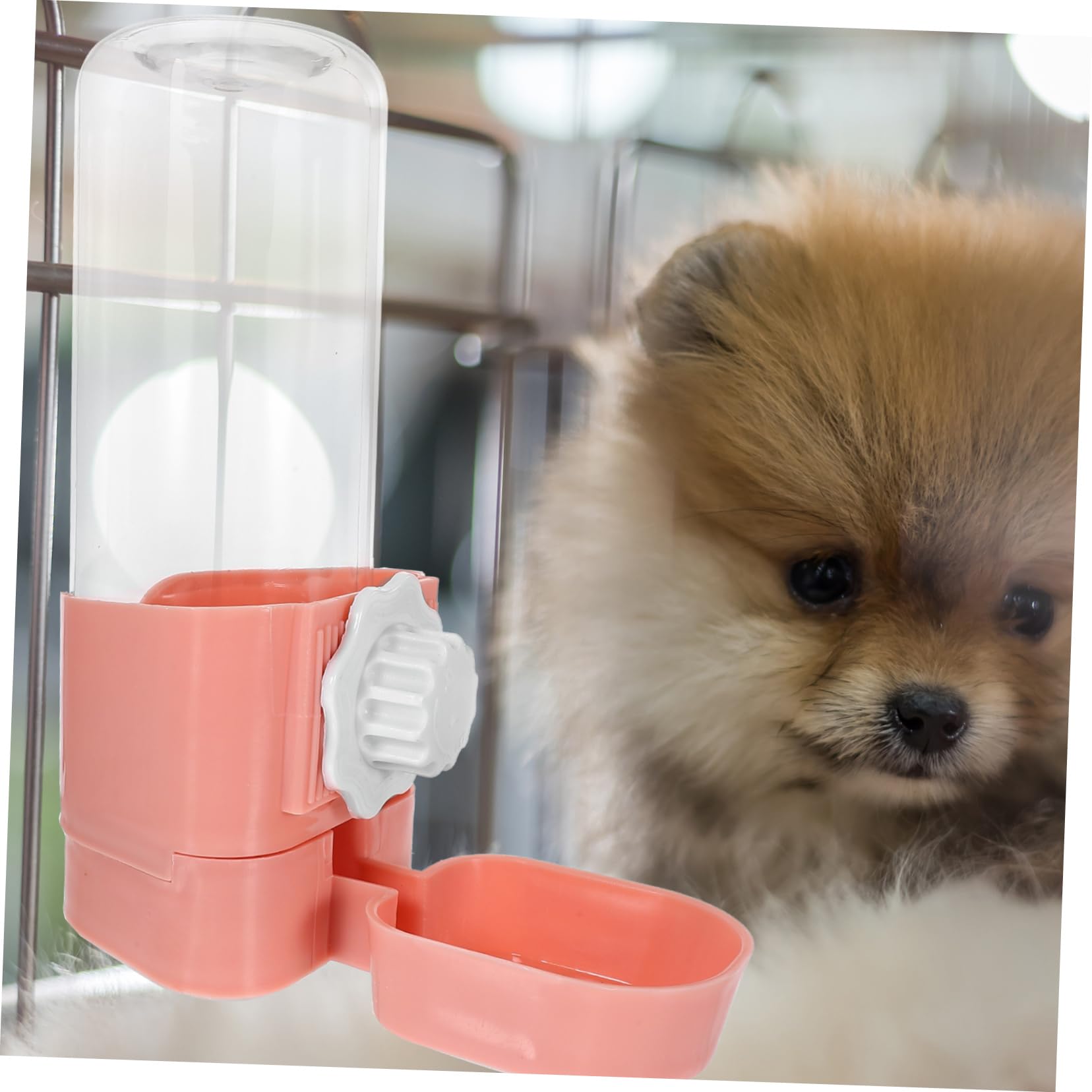 INOOMP 3piezas Botella De Agua para Hámster y Conejos Dispensador Automático De Agua Accesorio Colgante para Mascotas Bebedero Limpio y Compacto para Hogar y