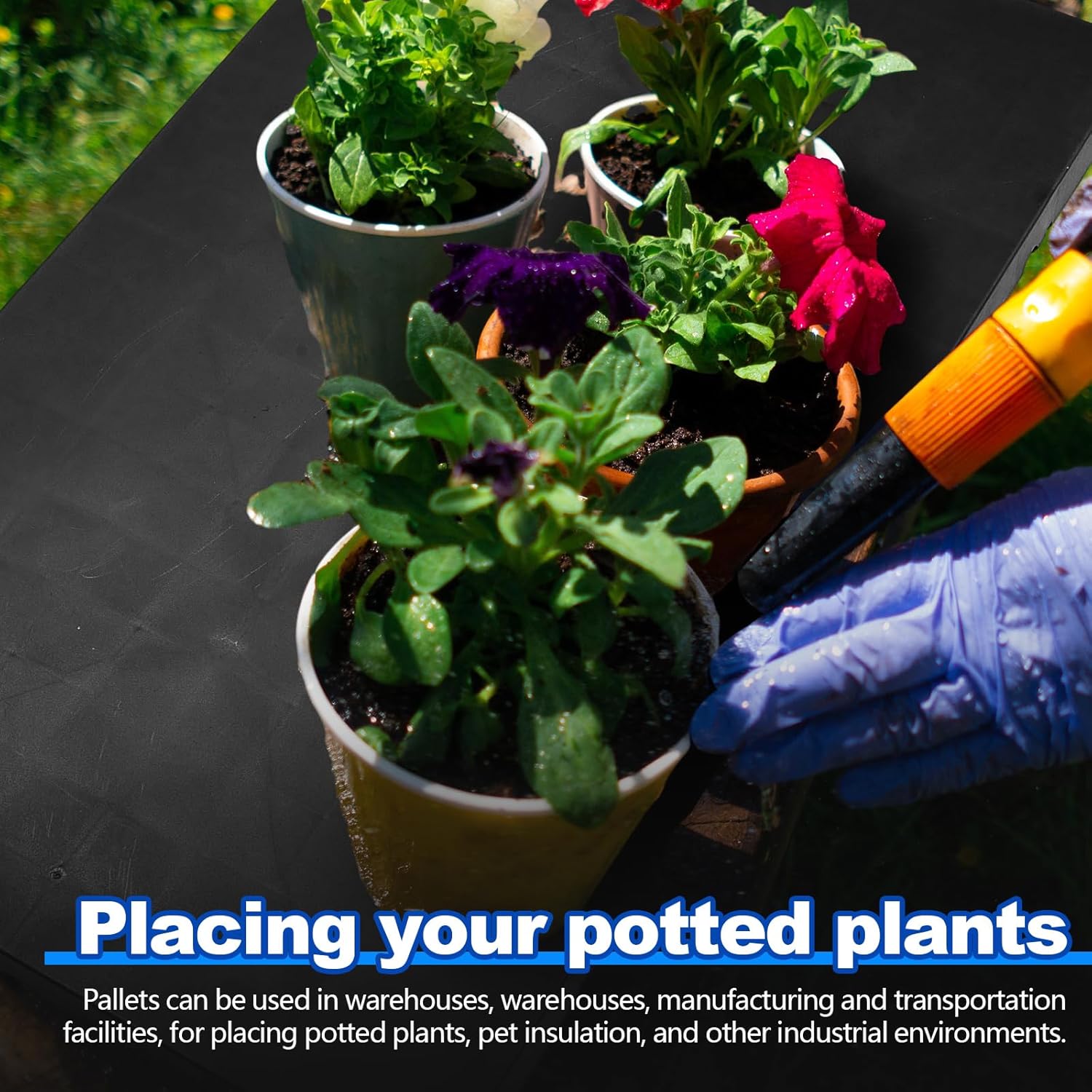 Qinyoung 6 Pcs Plastic Pallet Waterproof Storage Pad Lightweight Wearproof Basement Pallet Easy Stack for Racks Outdoor Grid Floor Supermarket Warehouse Support up to 4000 Lbs (24 x 12 x 1 in,Black)