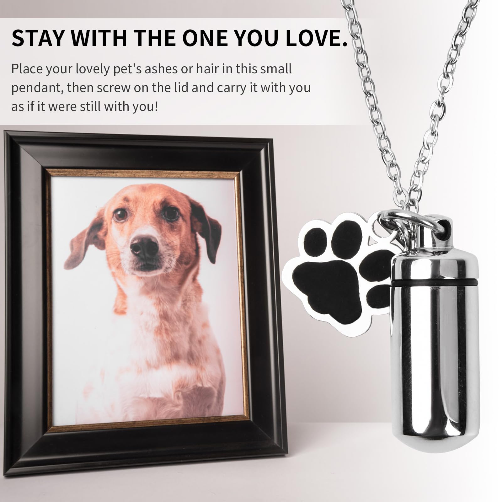 Portachiavi Urna Ceneri Animali Domestici - Acciaio Inox, Con Ciondolo Zampa, Commemorativo - Foto 7