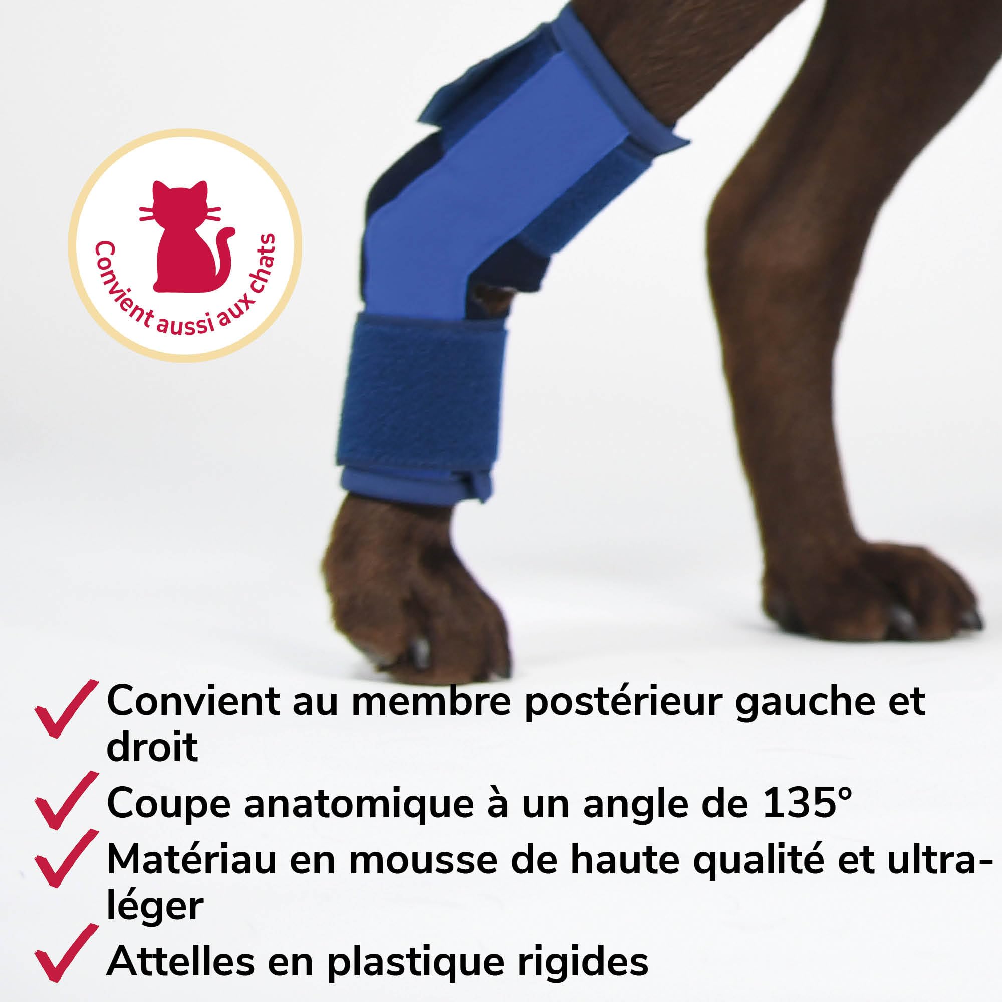 Bandage de Jarret en Mousse Taille XXXL pour Chiens & Chats – Respirant avec Attelles pour Le Soutien du Jarret en Cas d'Arthrose & d'Instabilité